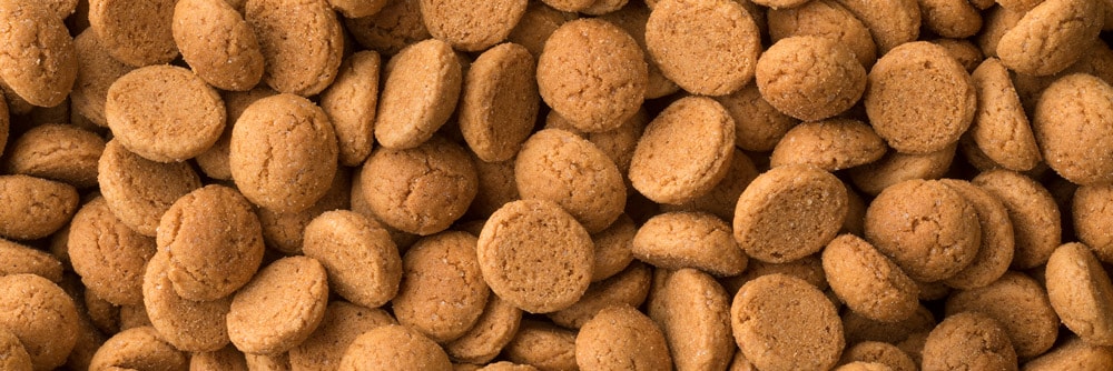 Sinterklaas