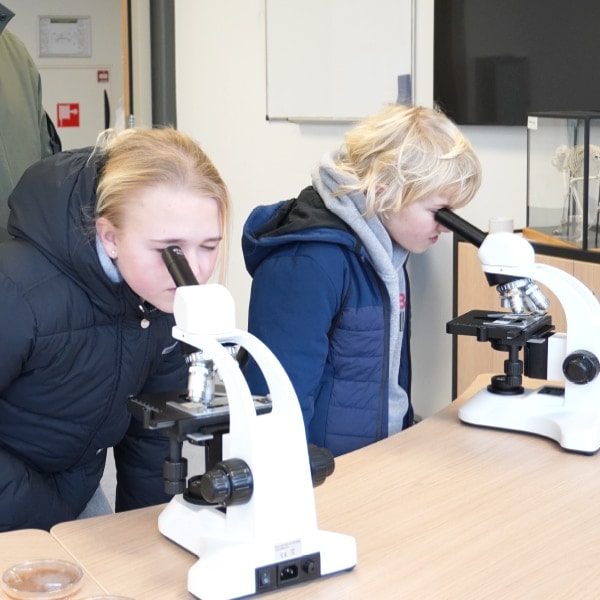 Groep 8 30 Open dag - kijken door een microscoop
